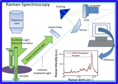 Health and environment